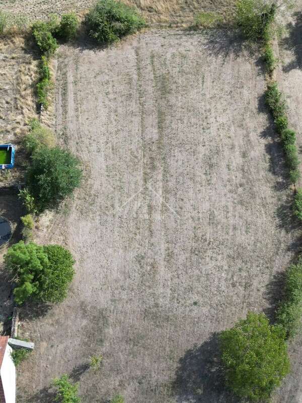 Terrain de 2334 m2 - photo 13