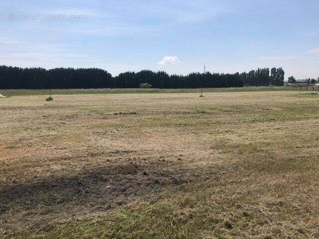 Terrain à NEUILLE-PONT-PIERRE