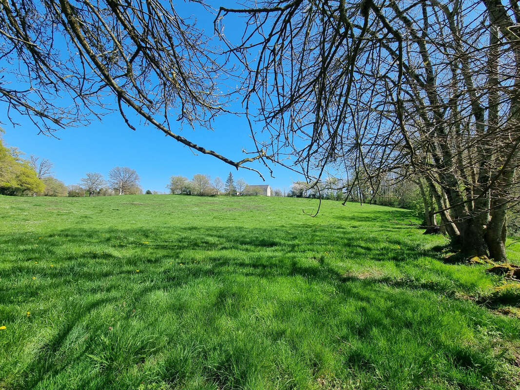 Maison à CHASSIGNOLLES