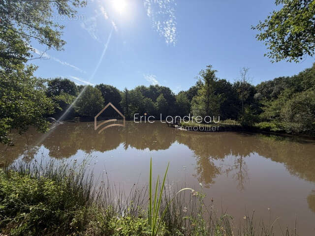 Plan d'eau avec un espace arboré et un chalet - photo 10
