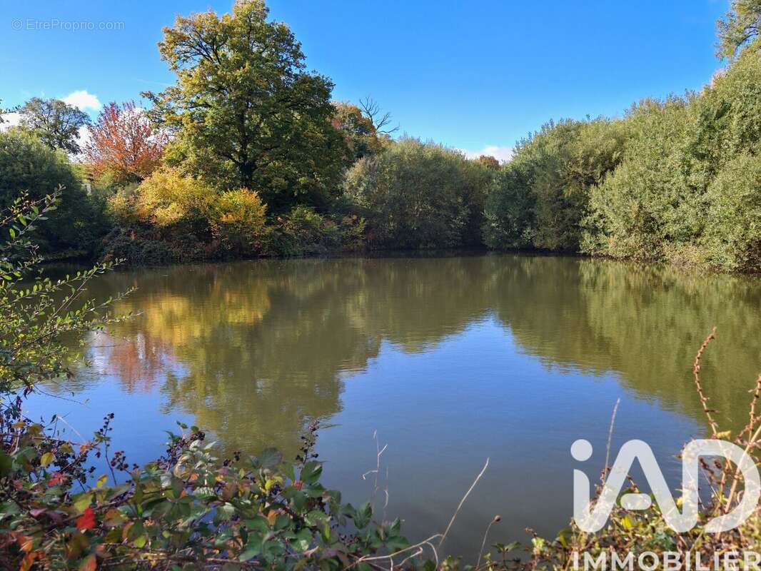 Photo 7 - Terrain à NERIS-LES-BAINS