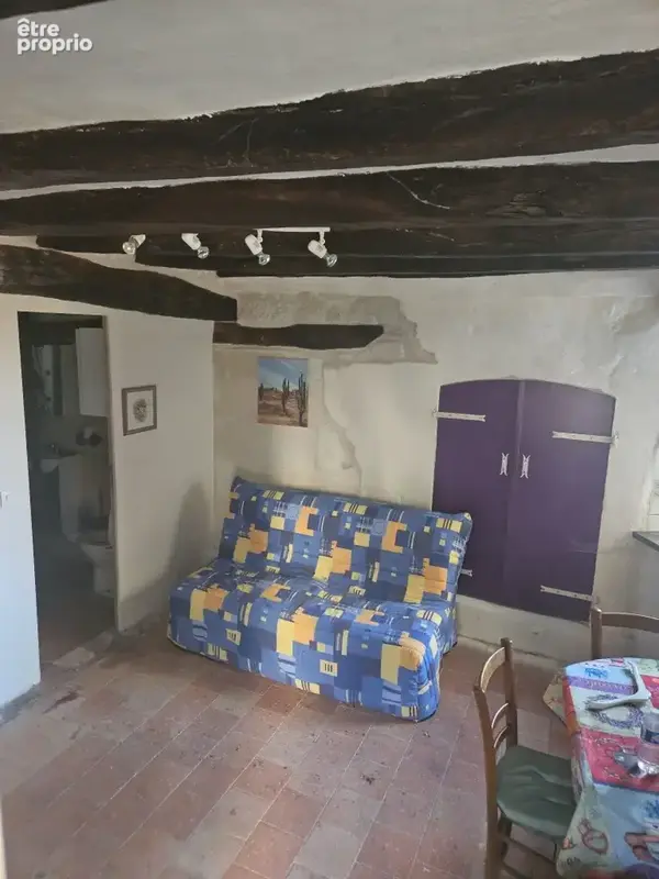 Ensemble troglodytique atypique à Avoine   3 espaces indépendants   Fort potentiel locatif - photo 21
