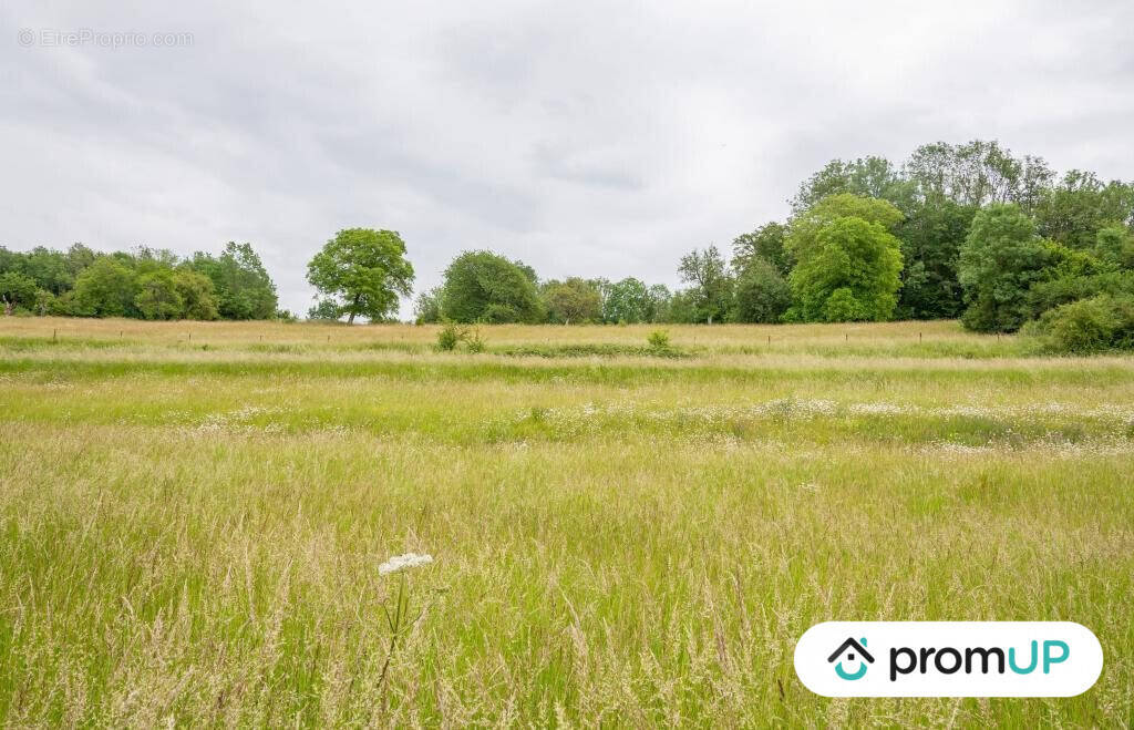 Terrain à PREZ