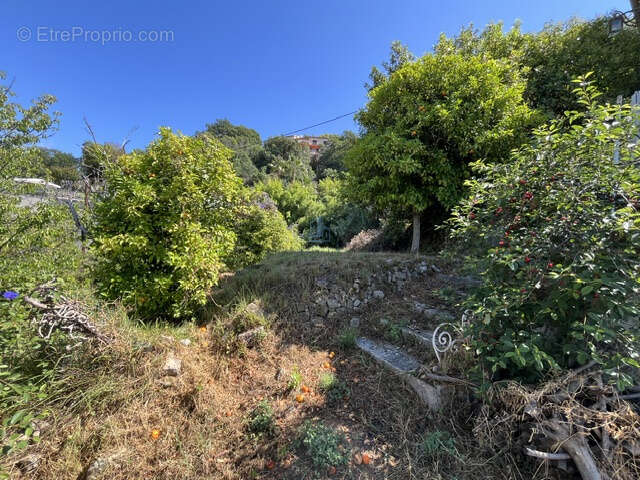 Terrain à MENTON