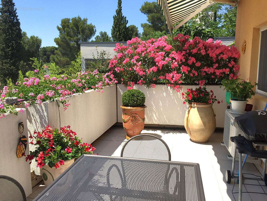 Appartement à VILLENEUVE-LES-AVIGNON