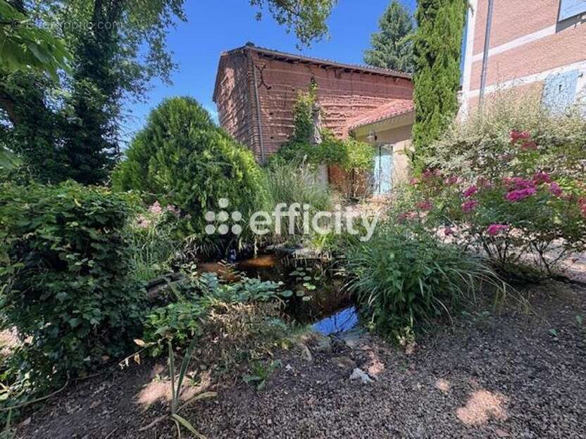 Maison 220 m² à Sermentizon  - photo 15