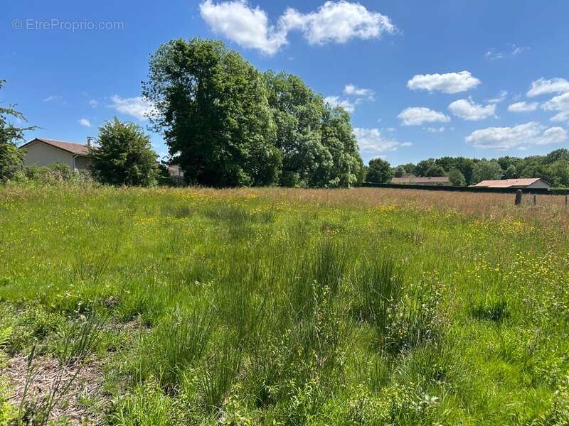 Terrain à CHATEAUPONSAC