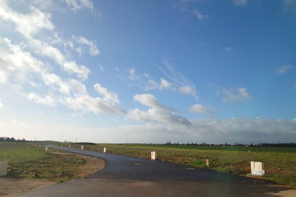 Terrain à NOGENT-LE-ROI
