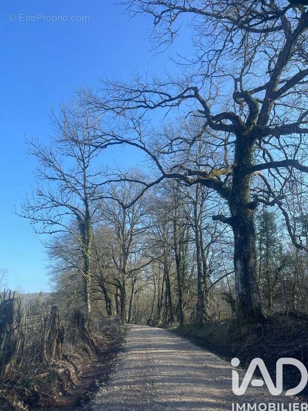 Photo 3 - Terrain à LA CAPELLE-BONANCE