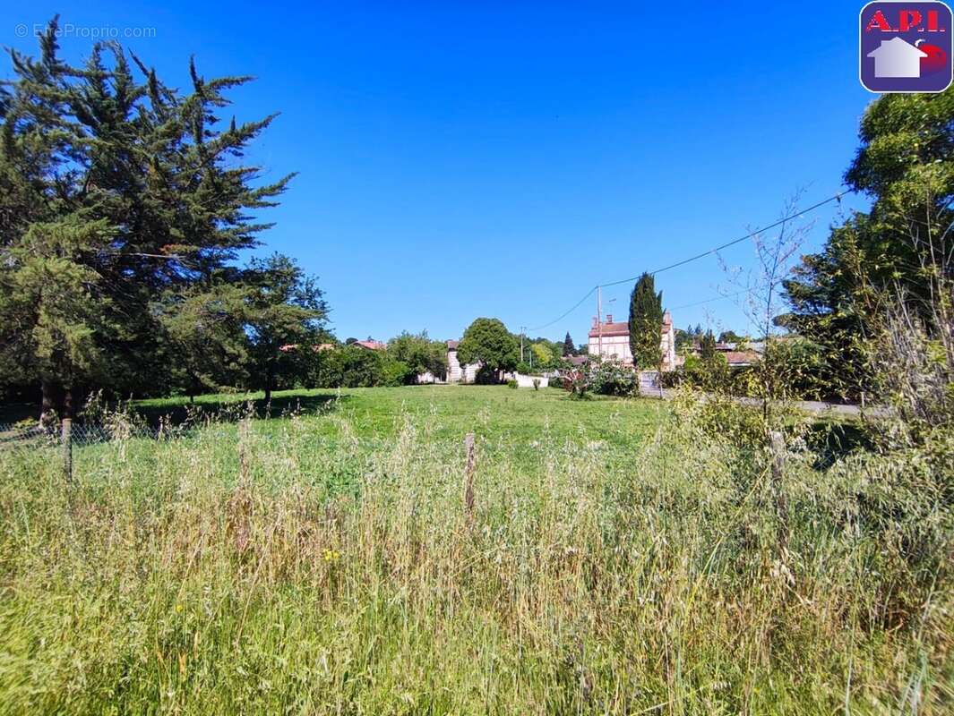 Terrain à LAFITTE-VIGORDANE
