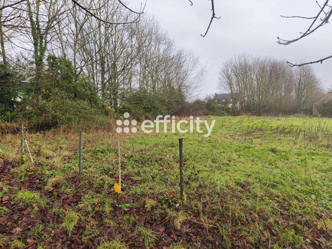 Terrain 1993 m² à Caulnes  - photo 3