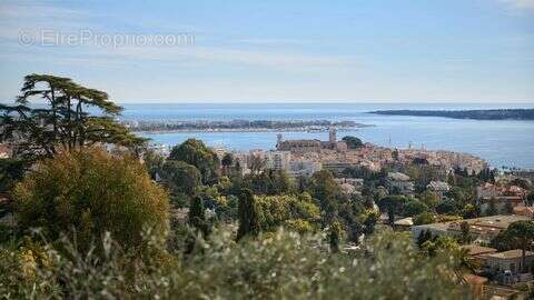 Maison à CANNES