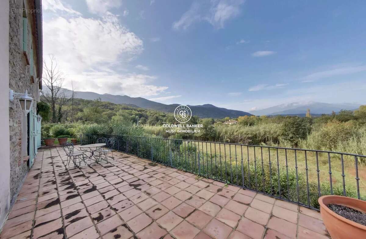 MAS de 295m2 Céret  vue Canigou sur près de 4 Ha - photo 11