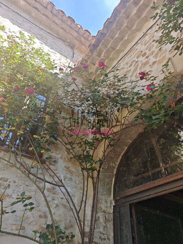 Maison à ALTHEN-DES-PALUDS