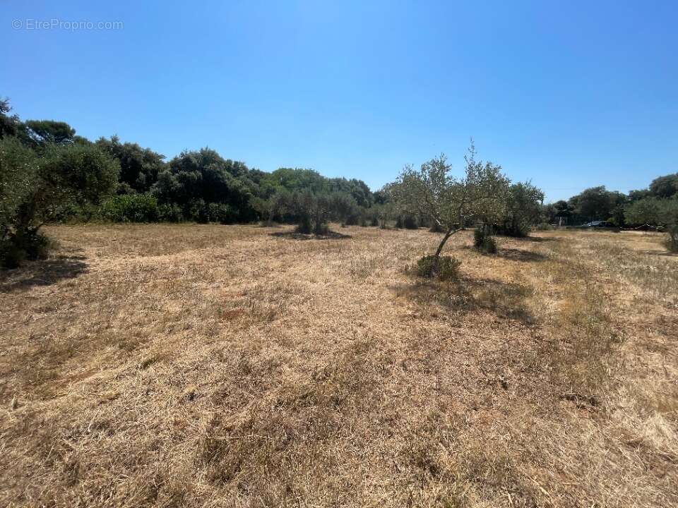 Terrain 1700 m² à Saint-Siffret  - photo 2