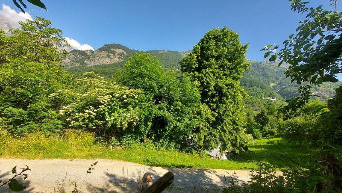 Terrain à OZ