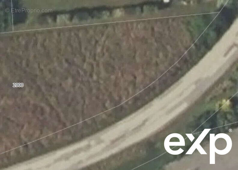 Terrain à ARGENTINE