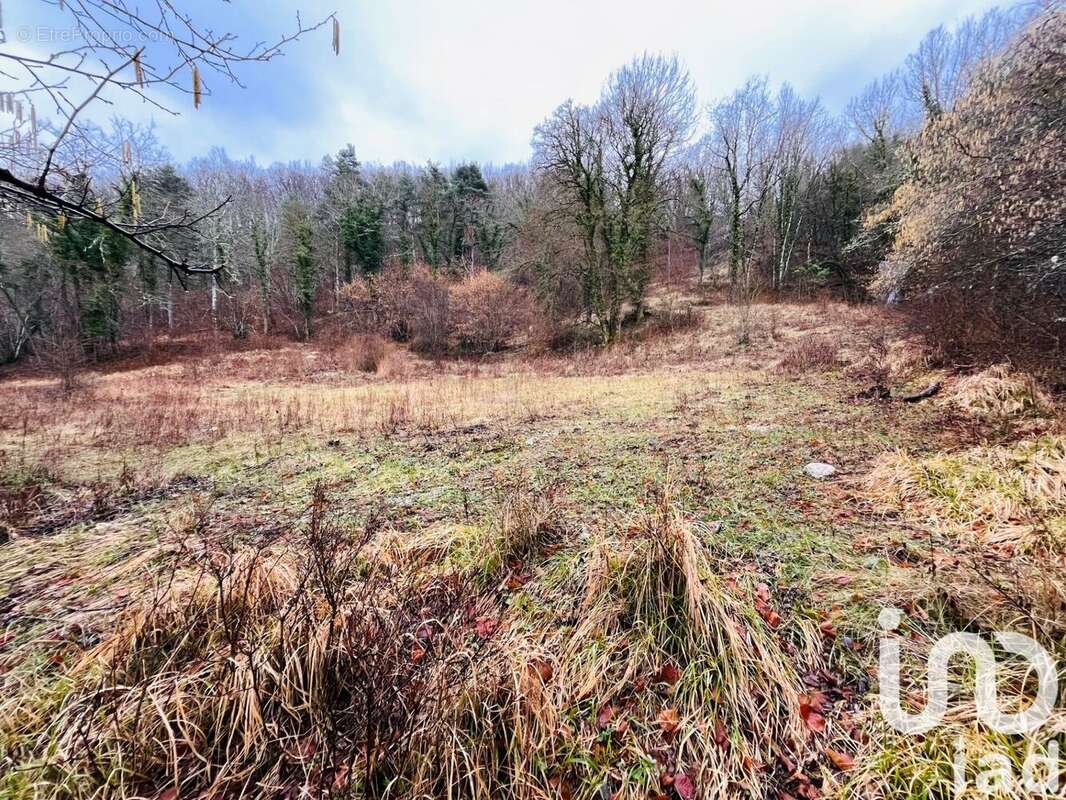 Photo 4 - Terrain à CIPIERES