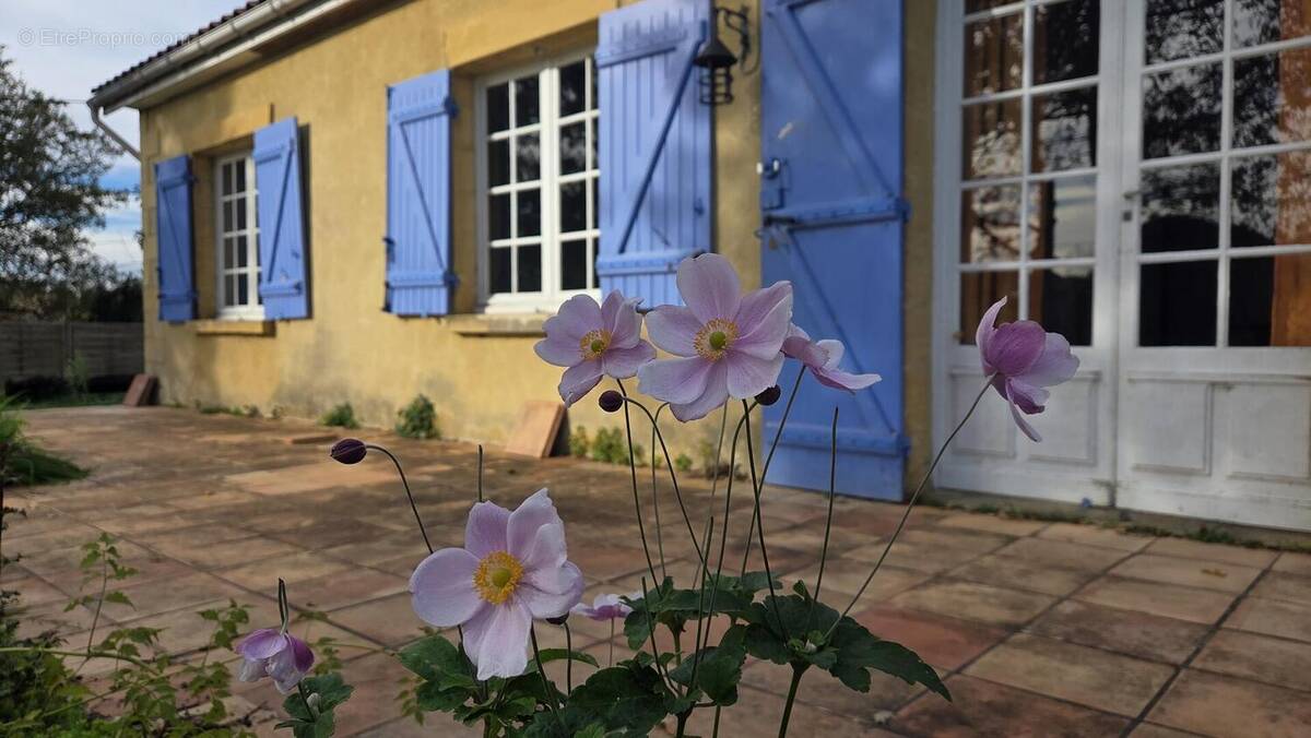 1000021811 - Maison à SIORAC-EN-PERIGORD