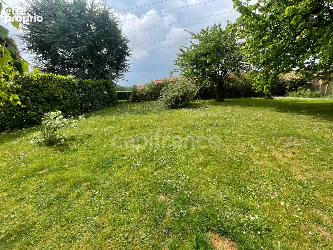 Maison independande -  jardin 800 m² - photo 16