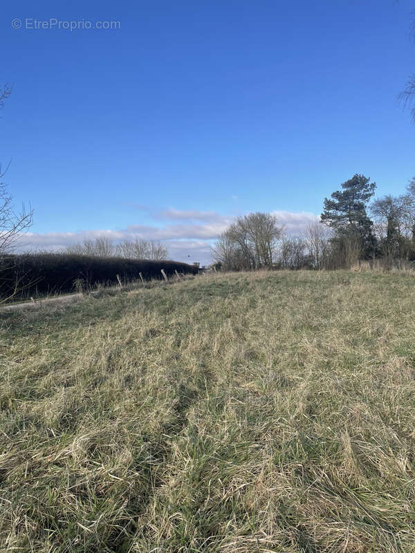 Terrain à BROUSSEY-RAULECOURT