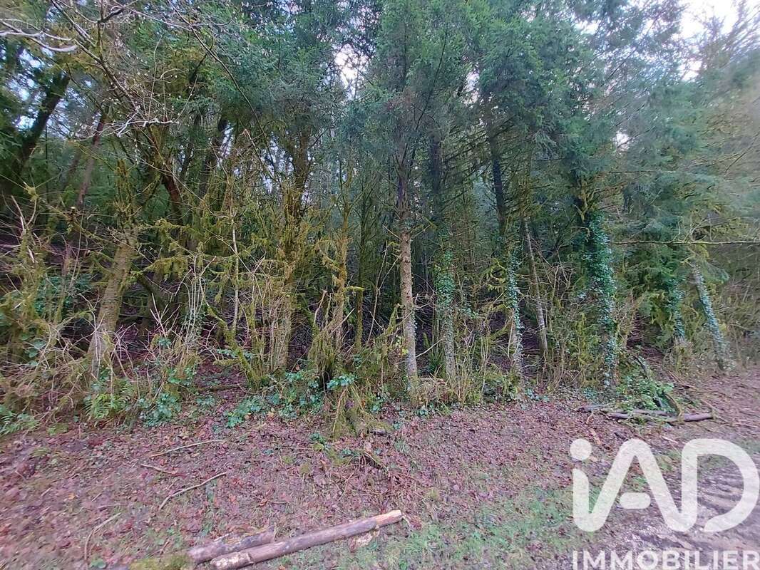 Photo 4 - Terrain à NANCUISE