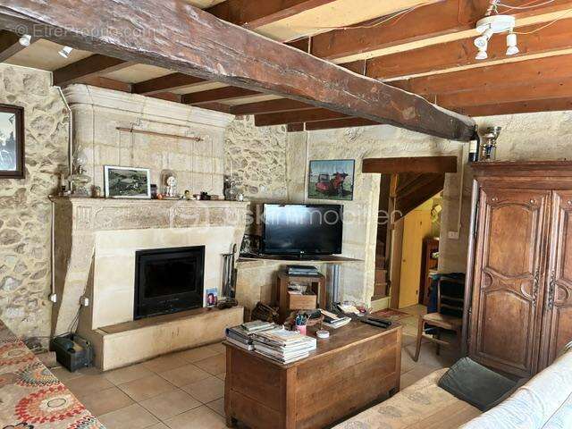 Belle maison du XIXe siècle  rénovée      178m2 et 4783m2 de parc                    190000€  St  Pey de Castets - photo 2