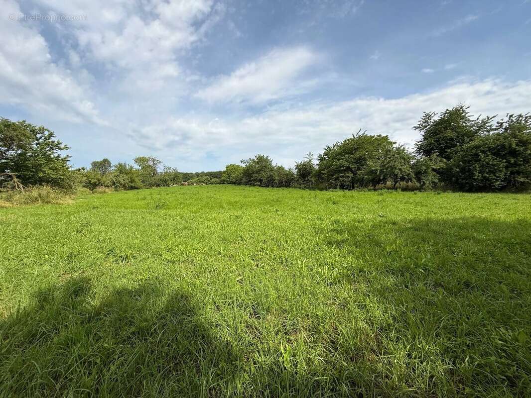 Grande ferme villageoise double indépendante à rénover – deux maisons, nombreuses dépendances, presque 1 hectare - photo 33