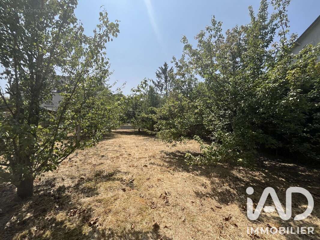 Terrain 391 m² à Sainte-Catherine-De-Fierbois  - photo 3