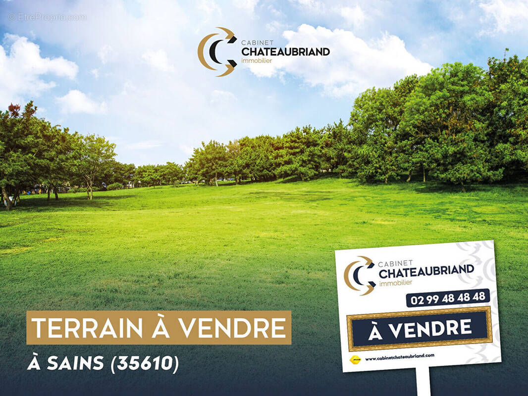 Terrain à SAINS