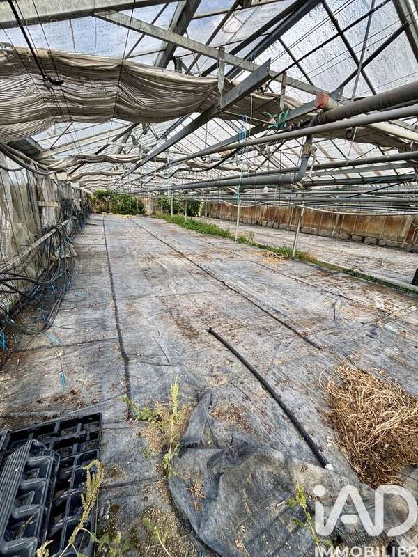 Photo 7 - Terrain à JOIGNY