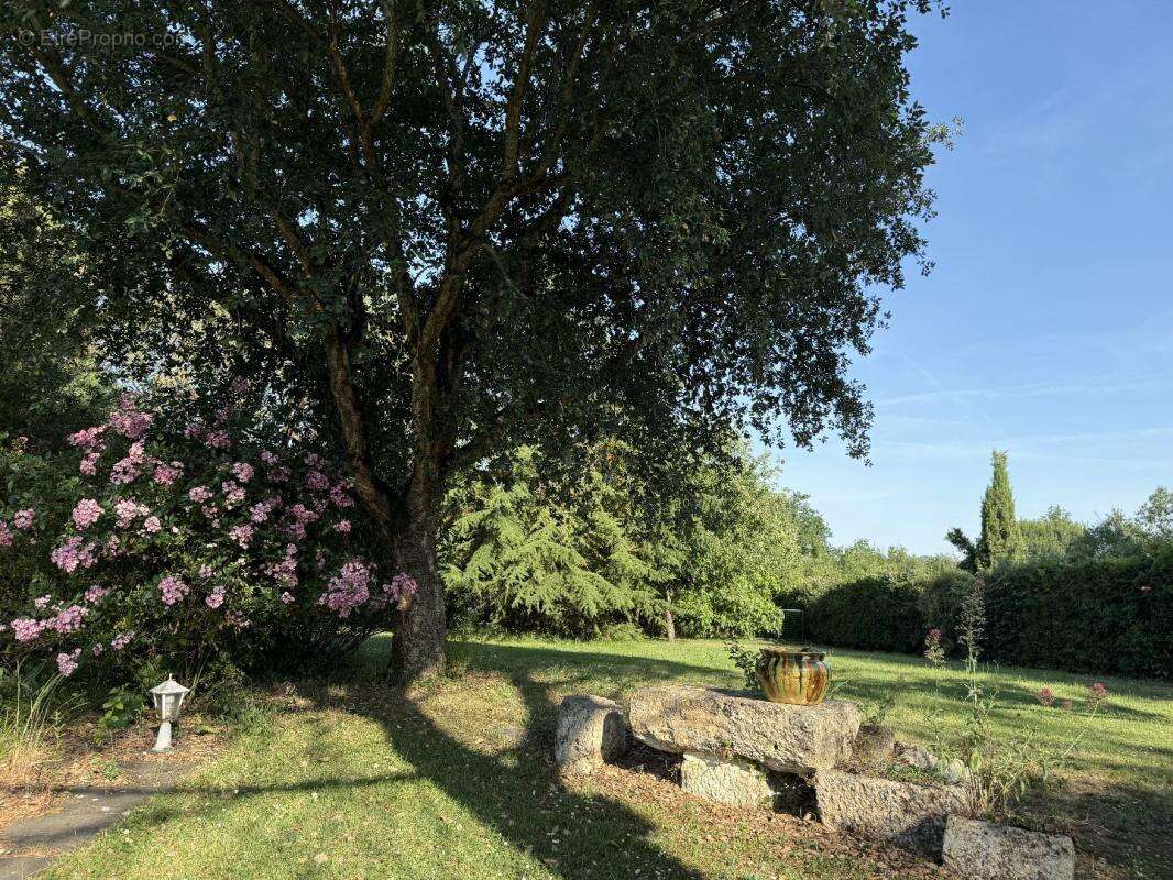 Refuge bucolique dans un hameau préservé - photo 12