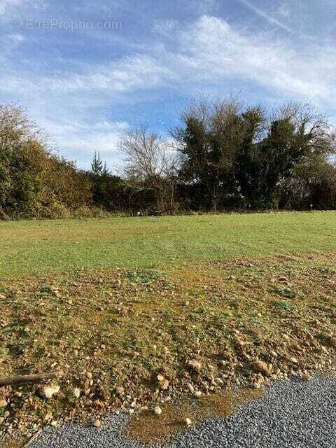 Terrain à SAINT-SAVINIEN
