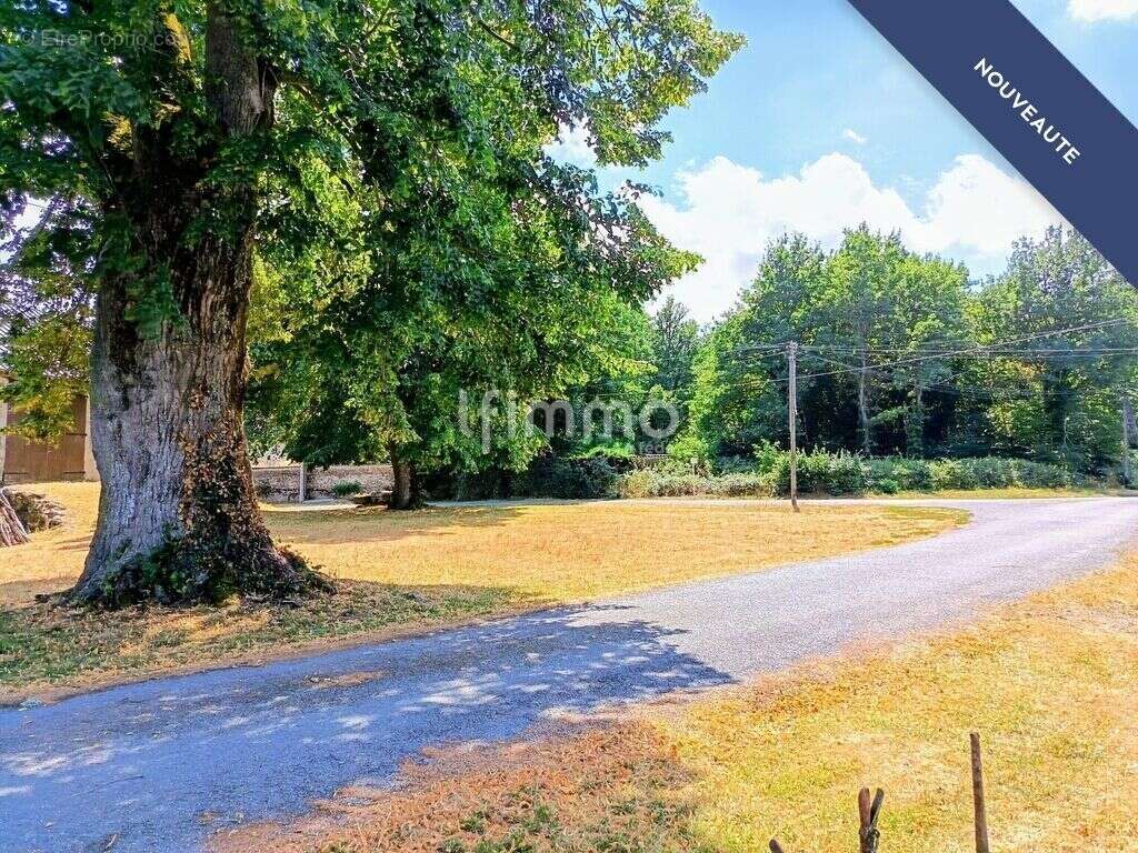 Maison en pierres - photo 3