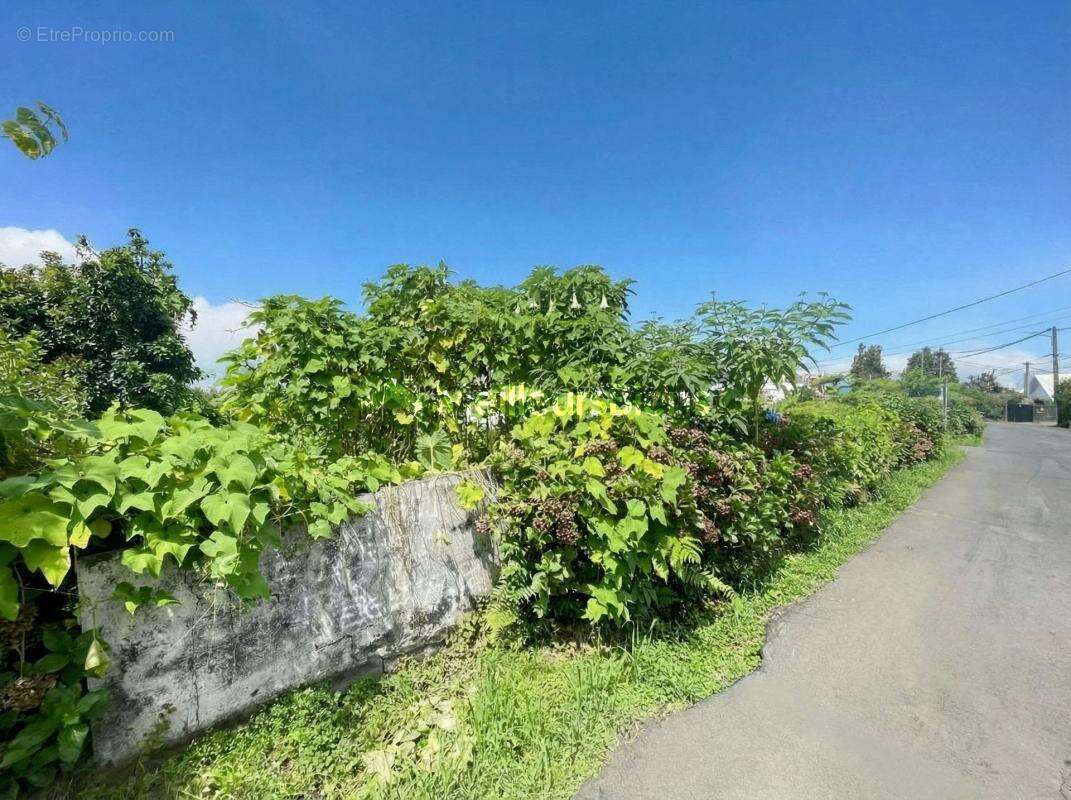 Terrain à SAINT-JOSEPH