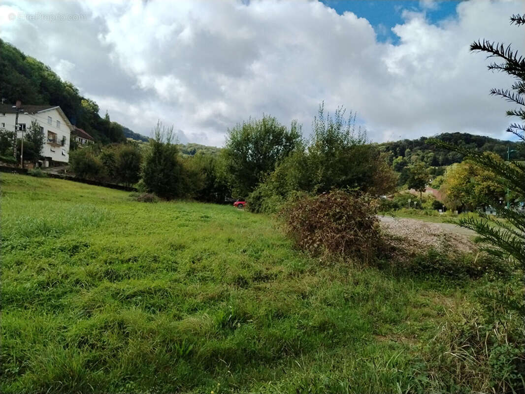 Terrain à ARBOIS