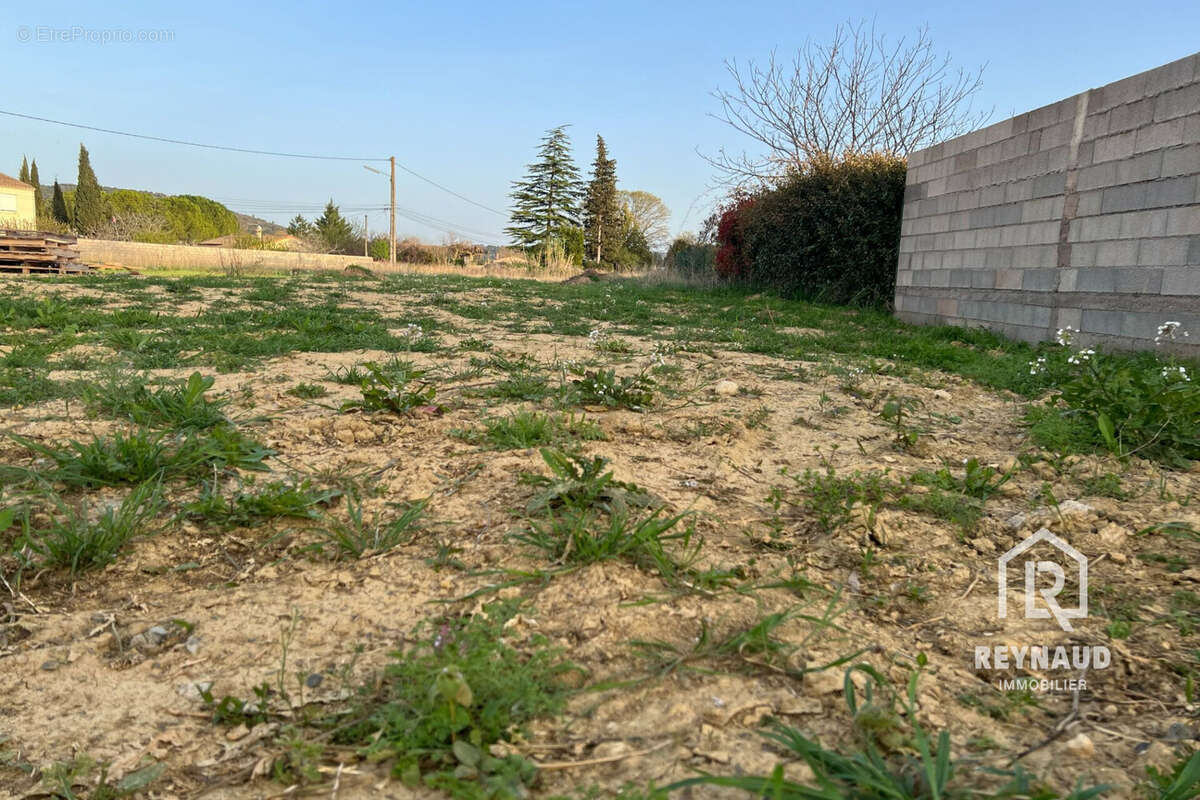 Terrain 600 m² à Plaissan  - photo 2