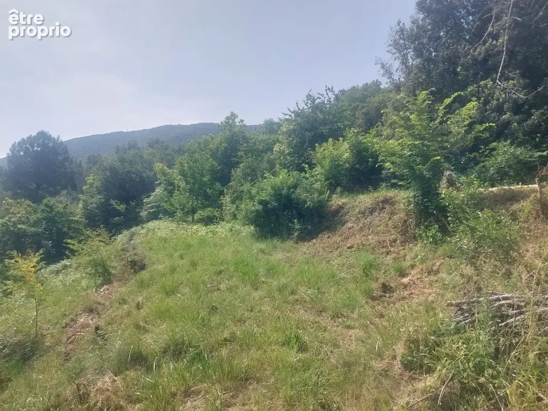 Terrain 6957 m² à Saint-Paul-La-Coste  - photo 4