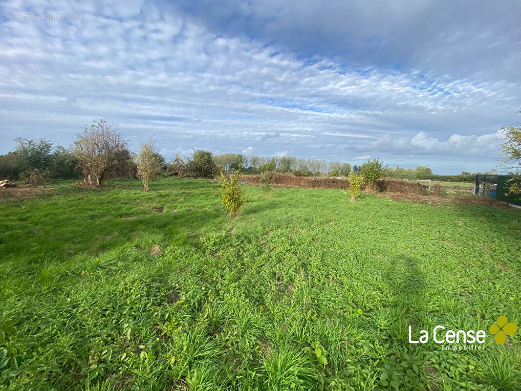 Terrain à SAILLY-LEZ-LANNOY