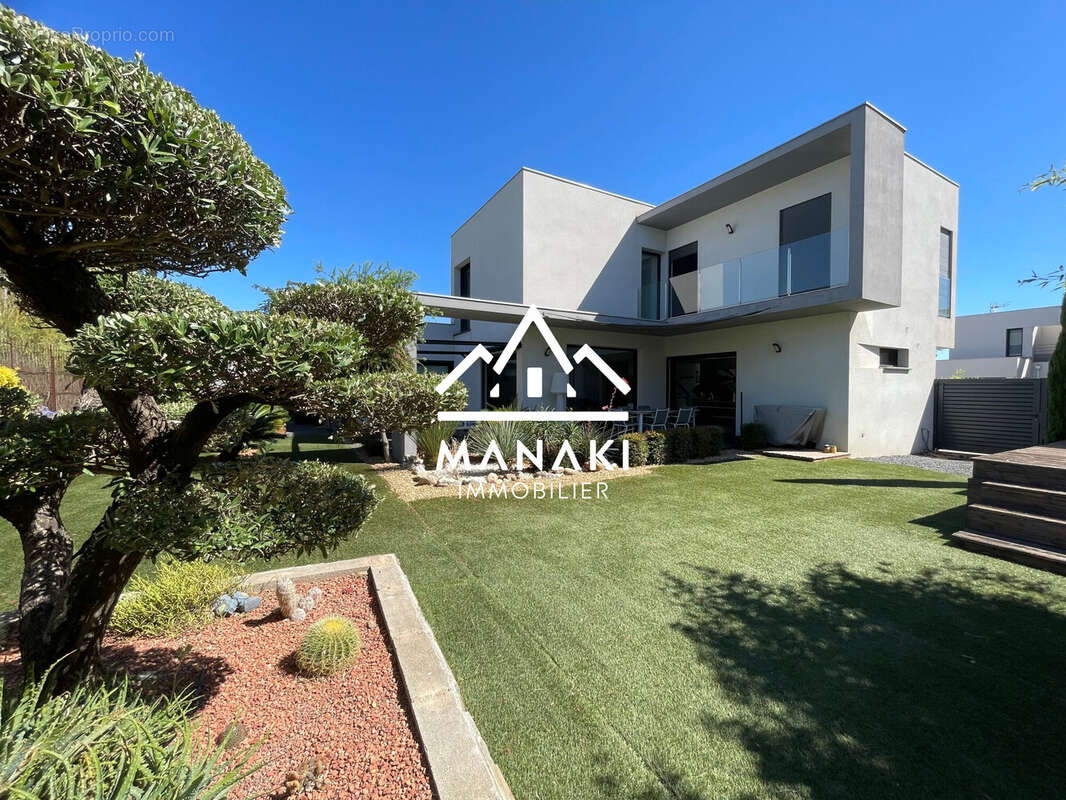 Jardin arrière - Maison à PERPIGNAN