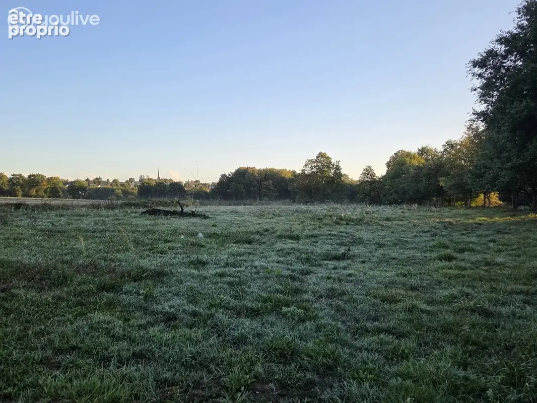 A vendre longère romille a renover  grand terrain - photo 3