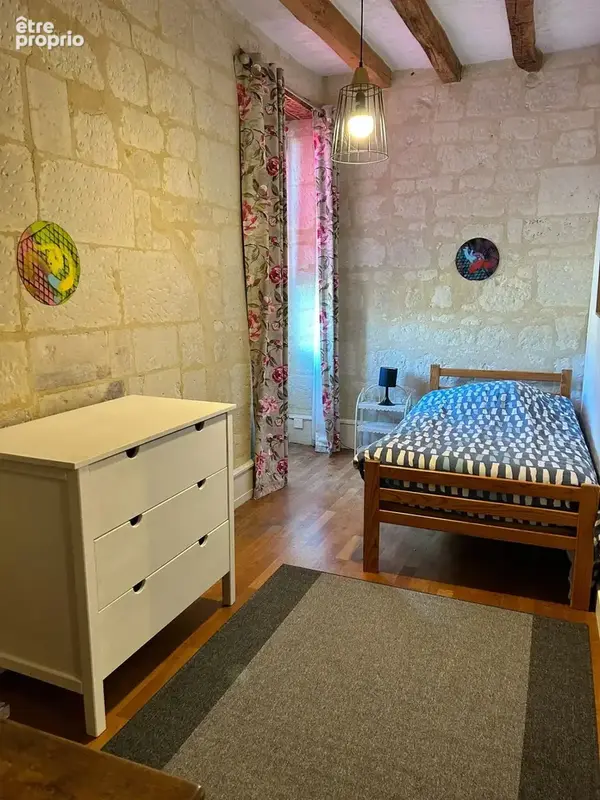 Bellevigne les chateaux - photo 11