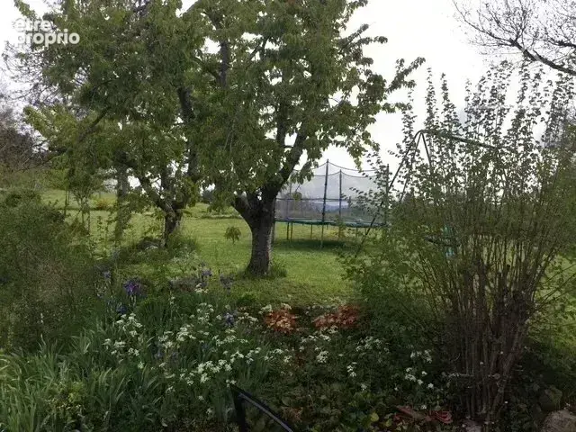 Maison pierres avec piscine - photo 11