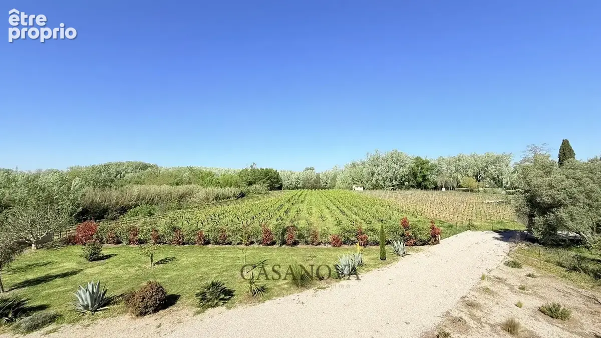 Maison vigneronne avec dépendances, piscine et terrain arboré entre Montpellier et Béziers - photo 7