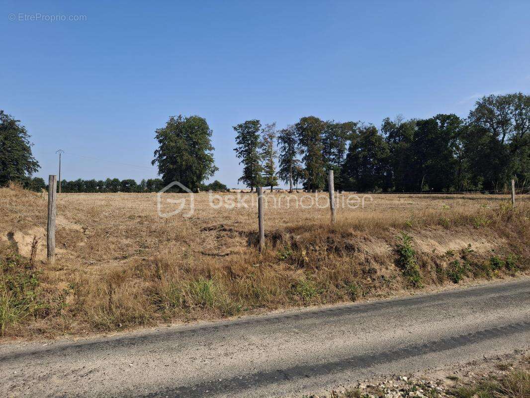 ***maison jumelee plain pied 100 m2  sur 750 m2 terrain a finaliser selon vos envies -saint mards (76730)*** - photo 6