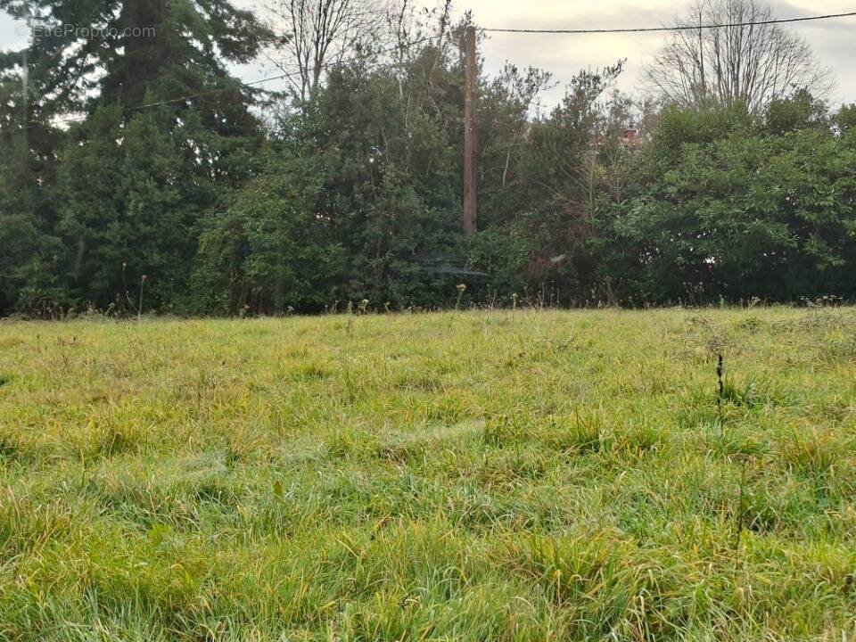 Terrain à LAPOUYADE