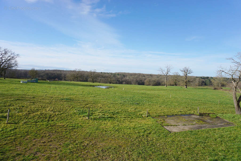 Maison à PARAY-LE-MONIAL