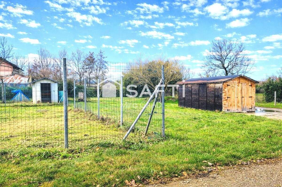 Photo 6 - Maison à LISLE-SUR-TARN