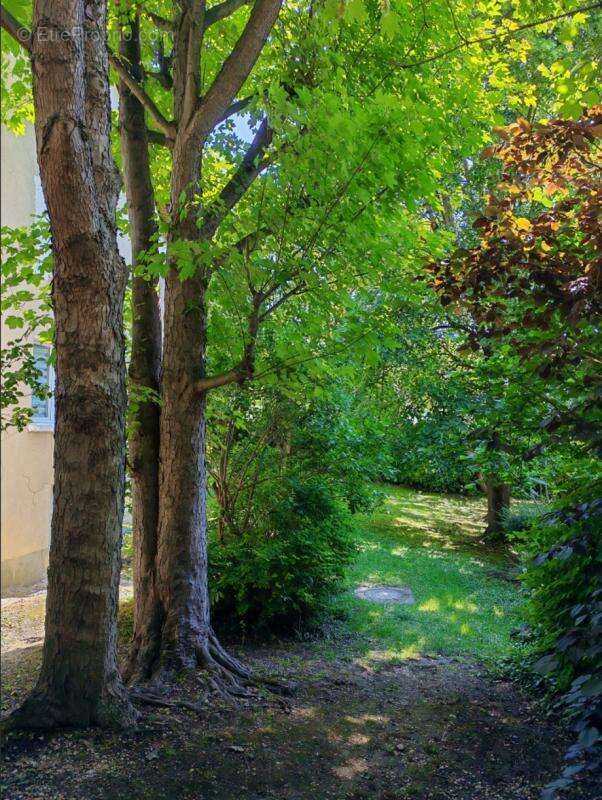 Appartement - photo 4