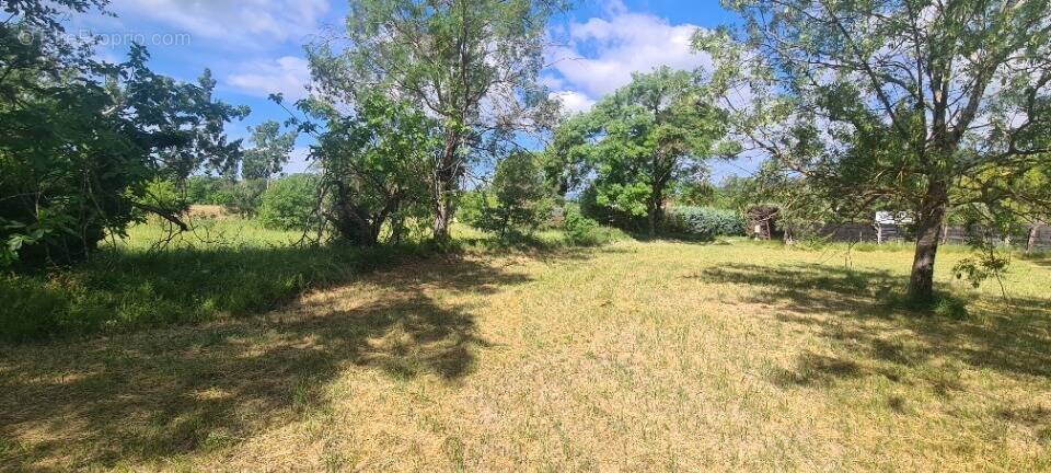 Terrain à TOURRETTES